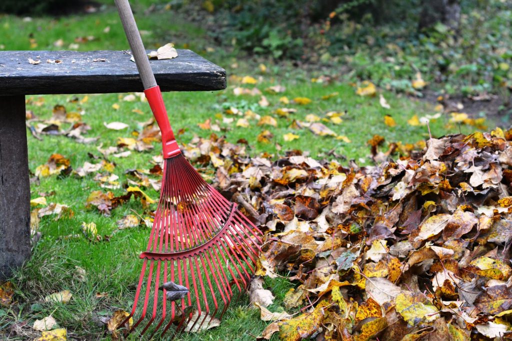 best rake for leaves on gravel