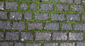 Best Weed Killer For Block Paving