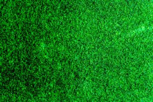 Best Rake For Artificial Grass
