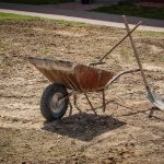 Best Shovel For Digging Up Roots