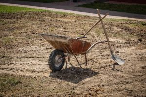 Best Shovel For Digging Up Roots