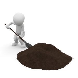 Best Soil For Azaleas