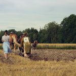 Rototilling Rocky Soil in In 2025