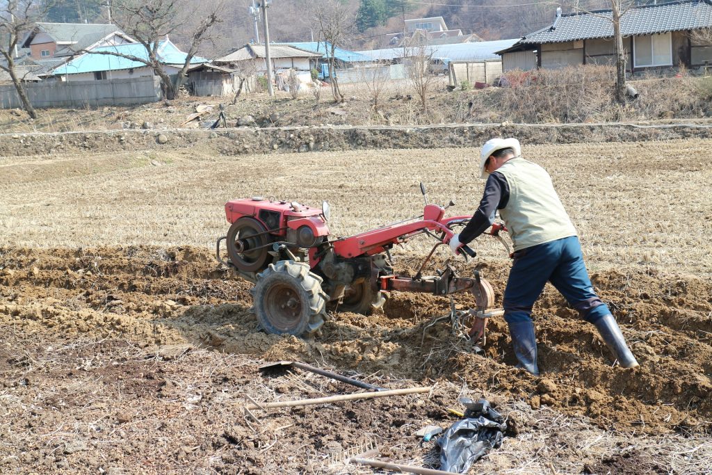 Best Tiller For Roots