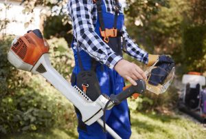 Best Brush Cutter For Brambles 