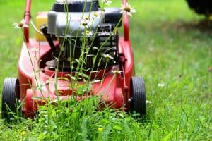 Best Lawn Mower Blades For Bahiagrass