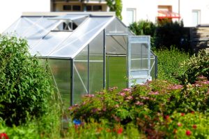Should I Use A Dehumidifier In My Greenhouse
