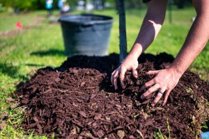 Best Mulch For Hillside