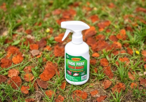 Best Fungicide For Lawn Rust