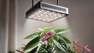  Best Grow Light For Anthurium