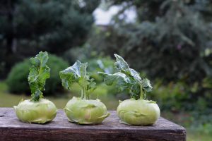 How Can You Tell When Kohlrabi Is Ready To Pick