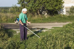 What Kills Kudzu Permanently