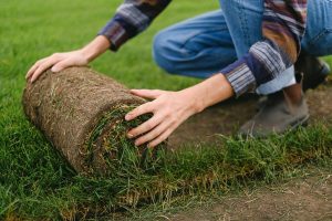 What Should You Do Before Laying Sod