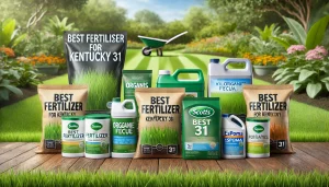 Best Fertilizer For Kentucky 31