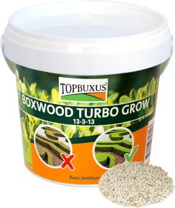 Best Fertilizer for Boxwoods in Georgia