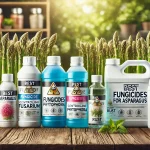 Best Fungicide For Asparagus