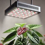 10 Best Grow Light For Anthurium