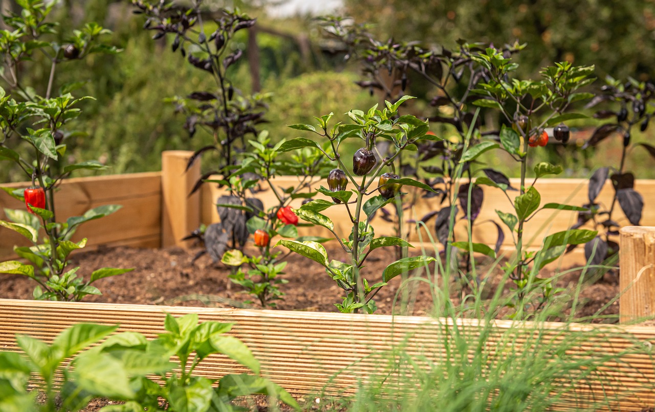 Best Sprinklers for Raised Beds Best Sprinklers for Raised Beds