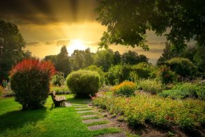 Best Weed Killer For Rock Beds