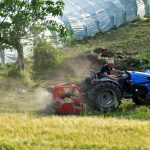 How High Can You Cut Grass With A Flail Mower