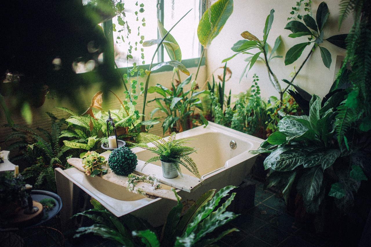 What Plants Prevent Mold In Bathrooms