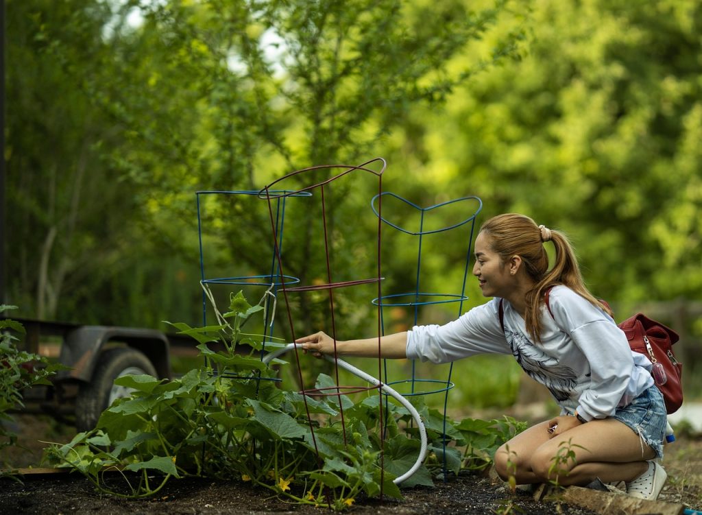 Why Is My String Of Dolphins Drying Up