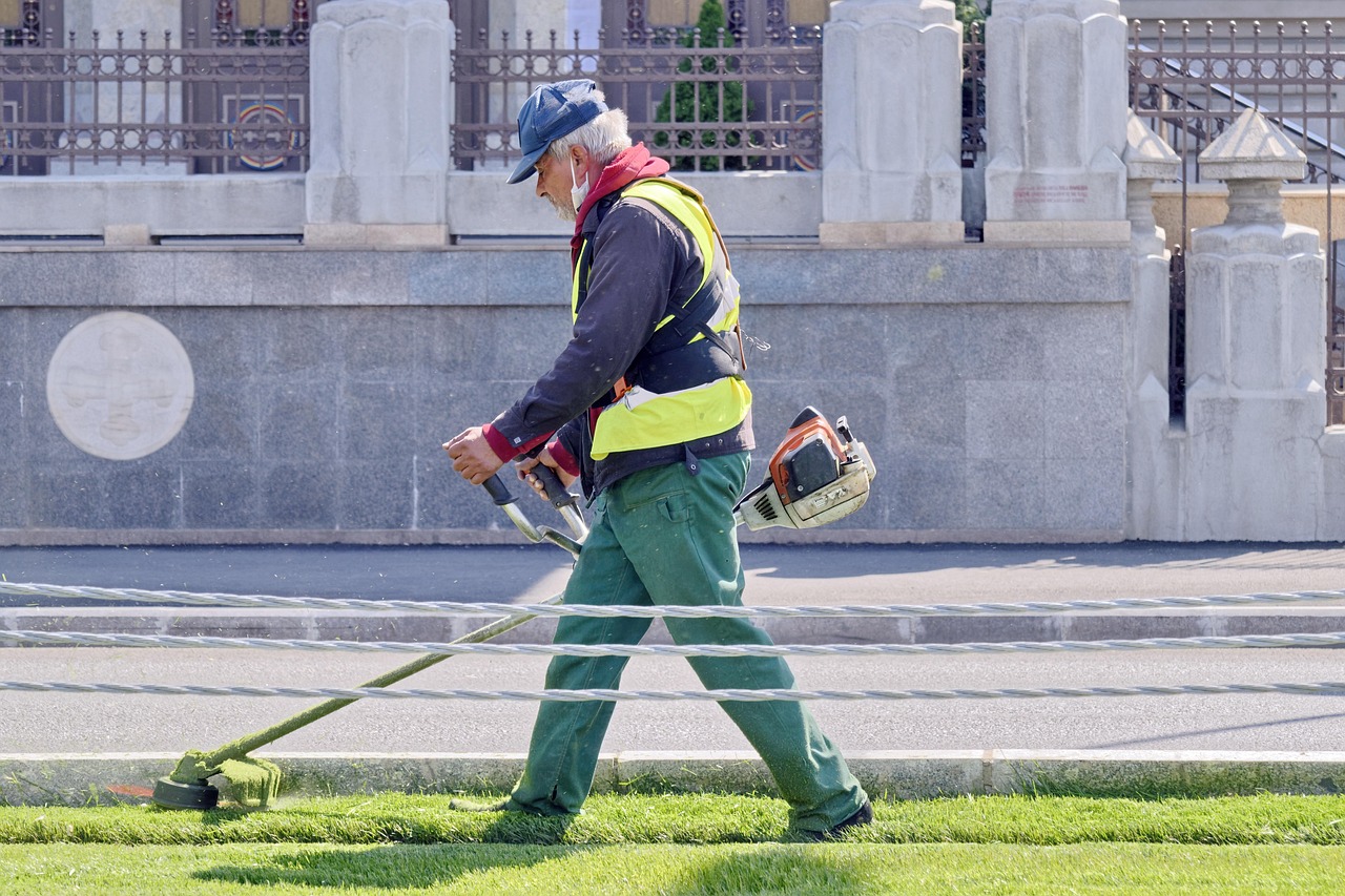 What To Do If Your Neighbor Doesn't Mow Their Lawn