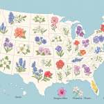 List Of Us State And Territory Flowers