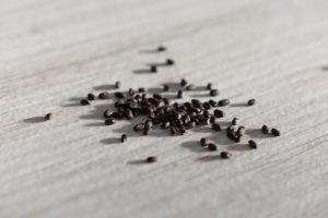 Puncture Vine Benefits For Women