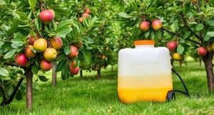 Best Sprayer For Apple Trees