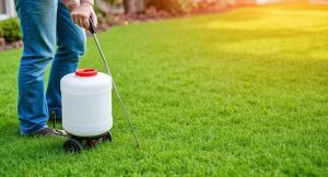 What Month Should I Fertilize My Lawn In Houston