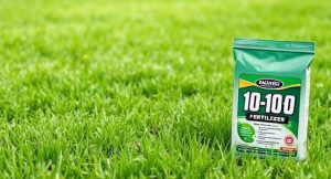 When Should I Apply 10-10-10 Fertilizer To My Lawn