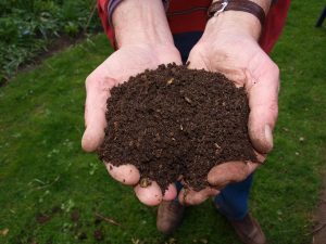 Best Compost For Growing Peppers