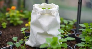 Should I Buy A Fabric Grow Bag