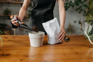 What To Do Under Grow Bags