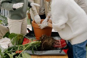 What To Put In The Bottom Of A Grow Bag