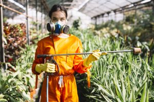 Does Vinegar Really Kill Crabgrass