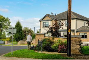 Spring Grass Care Myths Busted