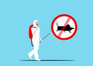 Spring Pest Control Checklist For Homeowners