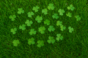 What Is A Natural Remedy For Killing Clover