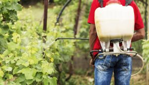 What Is The Most Common Method Of Weed Control In Florida