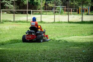 What Is The Mowing 1 3 Rule