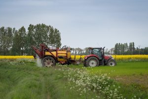 Does Rodeo Herbicide Kill Johnsongrass?