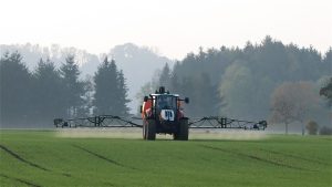 Is October Too Late To Spray For Weeds?