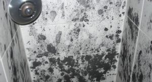 How Do You Get Rid Of Black Mold In A Shower?