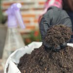 Why Do Container Plants Need Special Fertilizer?