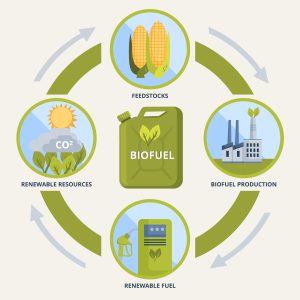 What Is Ethanol Biofuel Made Of?