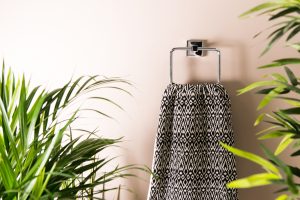 Plants That Absorb Moisture In Bathroom