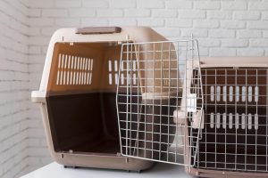 Heavy Duty Rabbit Show Boxes For Large Breeds 