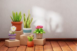 Best Indoor Plants For Airy Indoor Gym